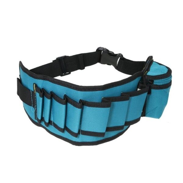 Multi-pocket tool belt